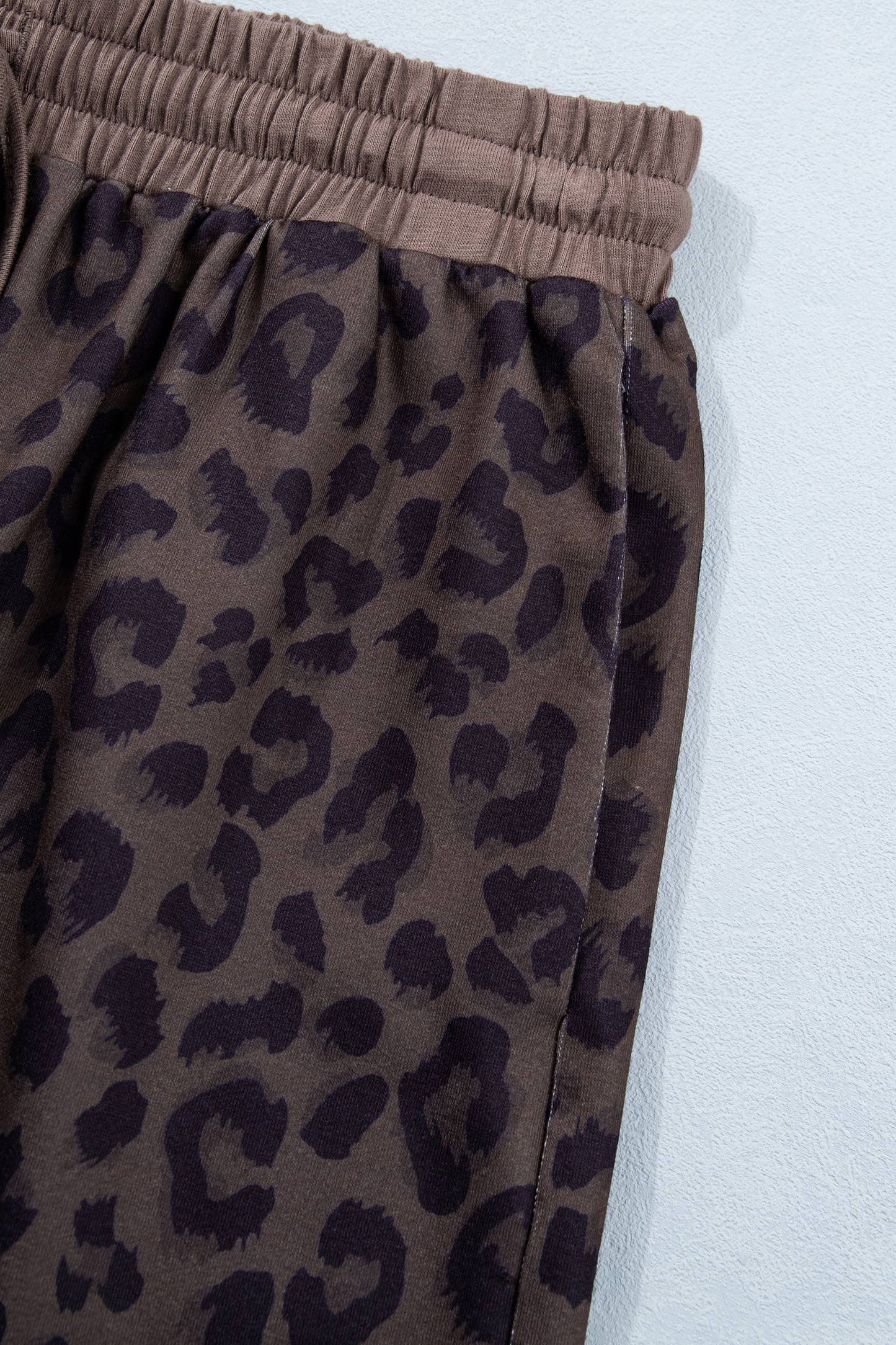 Brown Leopard Collared V Neck Top & Shorts Set